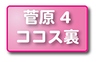 菅原4丁目ココス裏