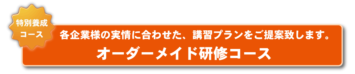 オーダーメイド研修コース:各企業様の実情に合わせた、講習プランをご提案致します。