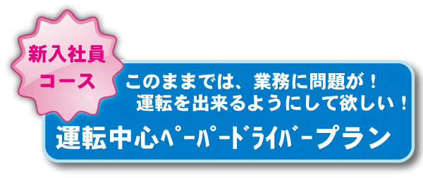 運転中心ﾍﾟｰﾊﾟｰﾄﾞﾗｲﾊﾞｰプラン:このままでは、業務に問題が！運転を出来るようにして欲しい！